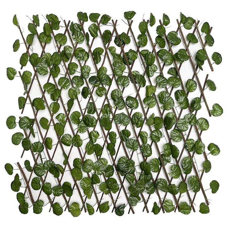 Expandable Trellis With Leaves