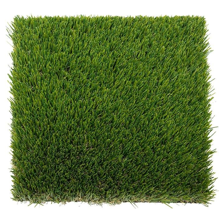 Soft Turf Grass suppliers